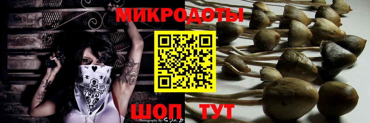 Псилоцибиновые грибы GOLDEN TEACHER  Вход с VPN  Псилоцибиновые грибы MAGIC MUSHROOMS  Пыть-Ях 